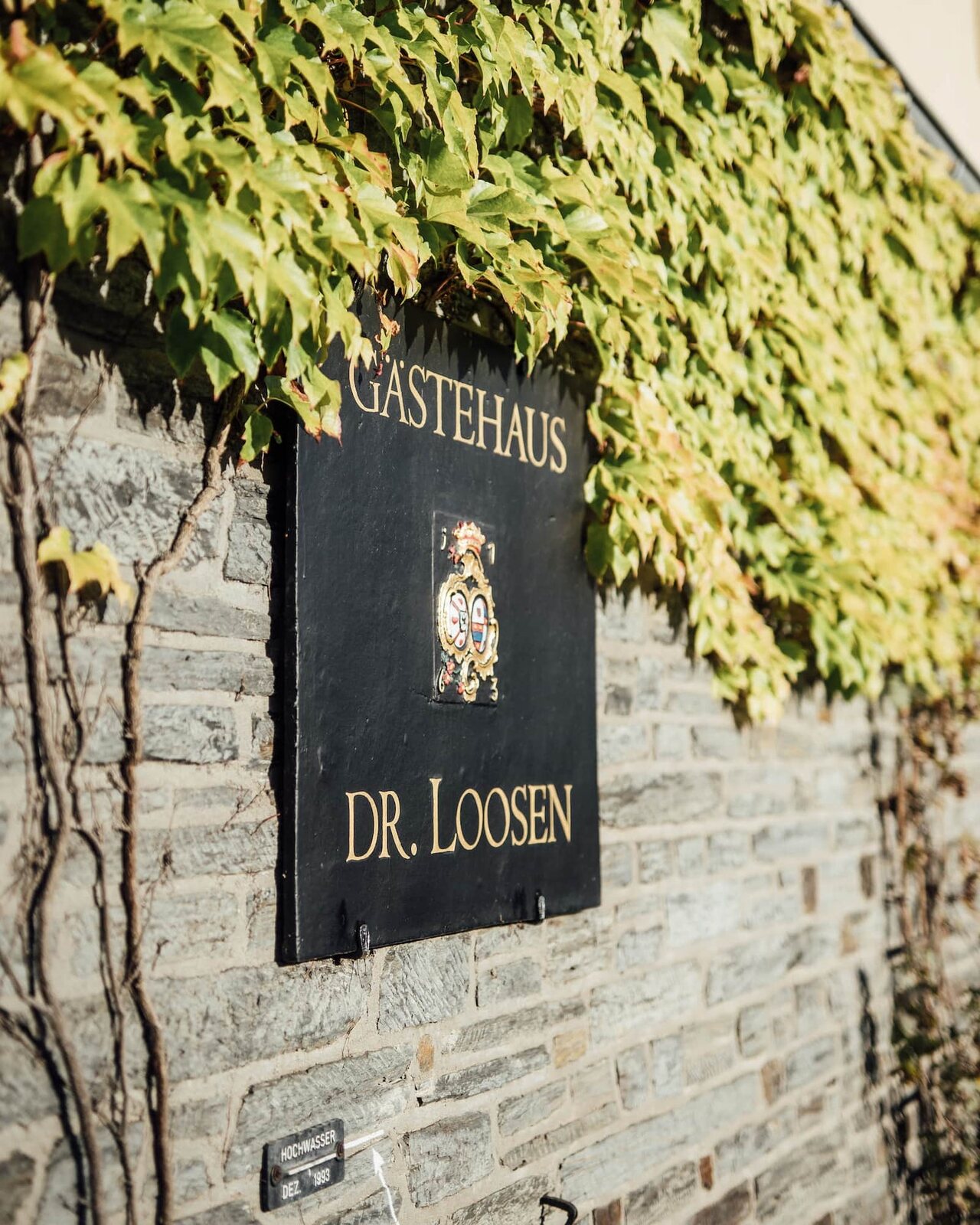 Een blik achter de schermen bij Dr. Loosen