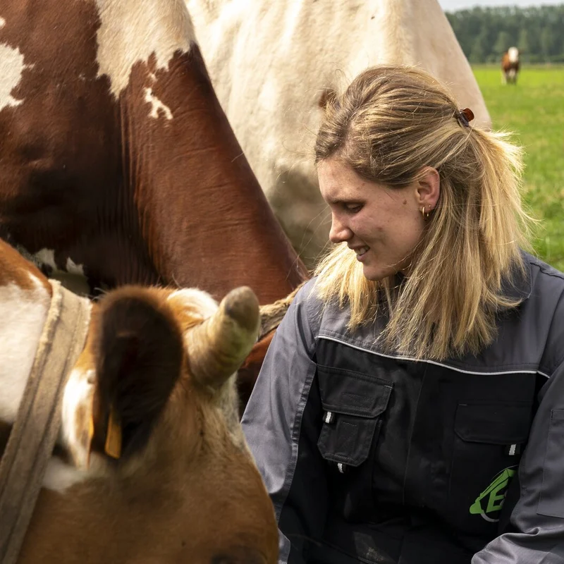 Het ambacht achter Evelyne’s Zuivelhoeve