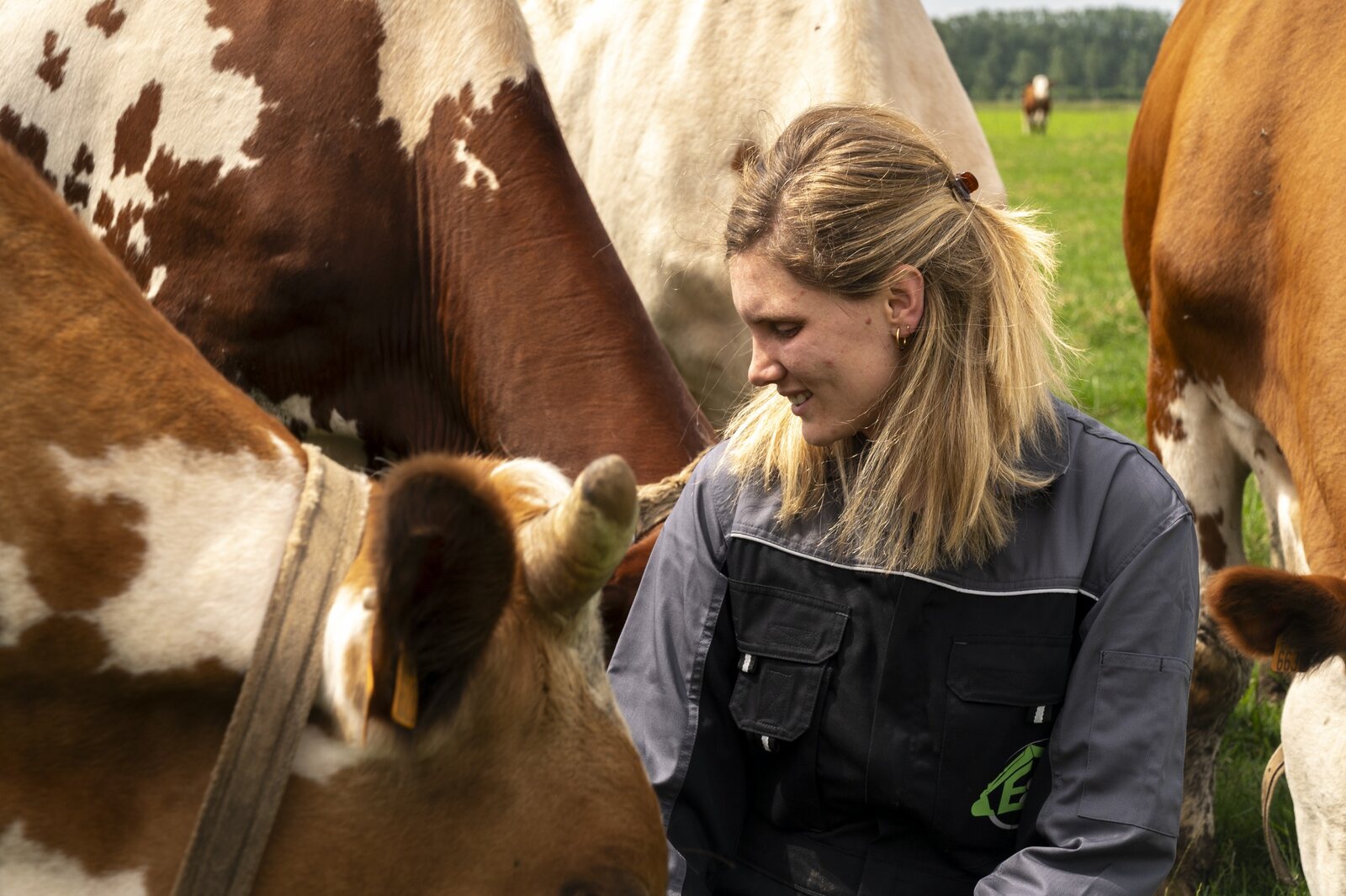 Het ambacht achter Evelyne’s Zuivelhoeve