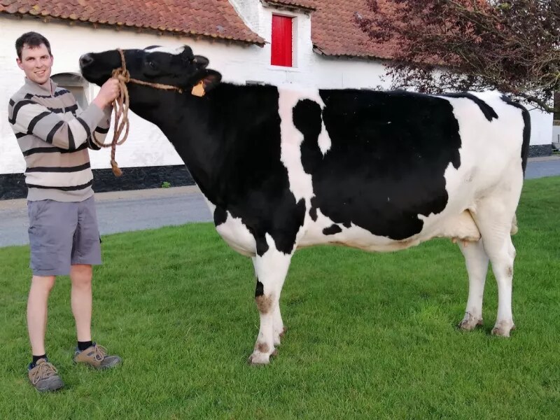 Een blik achter de schermen bij ’t Schottenhof